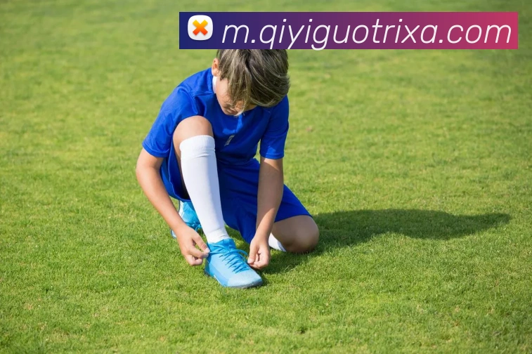 奇异果体育平台生态图